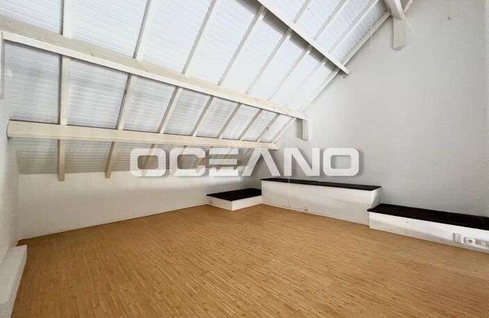APPARTEMENT DUPLEX - Possibilité 2 chambres - BAIE ORIENTALE - OCEANO — photo 3
