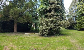 Photo N° 5