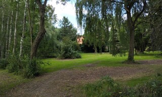 Photo N° 6