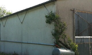 Photo N° 5