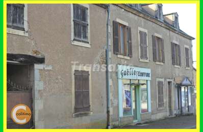 vente maison 57 500 € à proximité de Saint-Bonnet-Tronçais (03360)