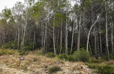 terrain  pièces  m2 à Sainte-Anastasie-sur-Issole (83136)