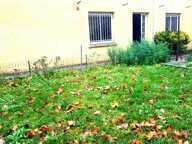 EXCLUSIVITE AGENT MANDATAIRE -  PLATEAU - 36M²/JAR — photo 3