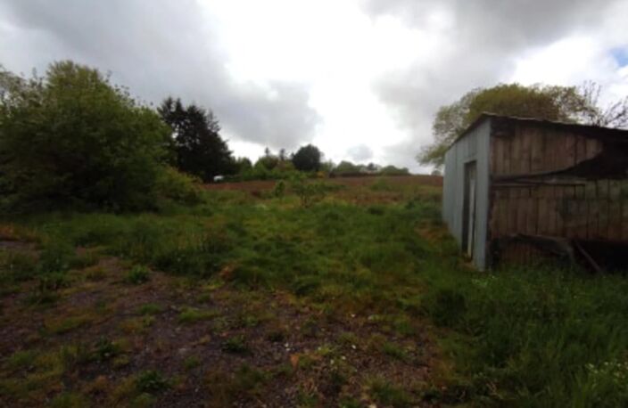 MAISON 1 CHAMBRE - 1000 M² DE TERRAIN — photo 3