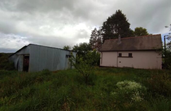 MAISON 1 CHAMBRE - 1000 M² DE TERRAIN — photo 4