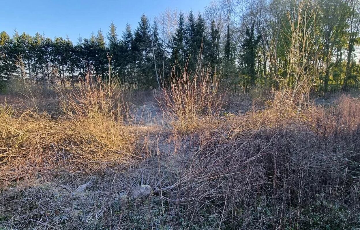 terrain  pièces  m2 à Anizy-le-Château (02320)