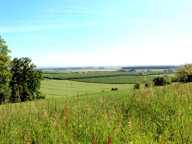 ANCIEN MOULIN / MAISON / DEPENDANCE / 2HA TERRAIN — photo 3