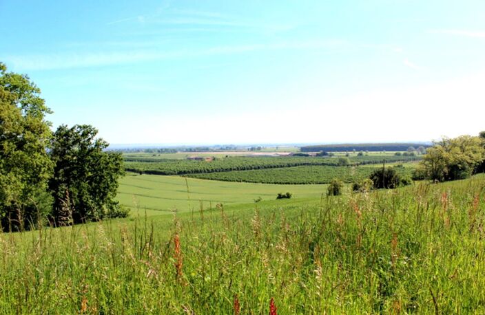 ANCIEN MOULIN / MAISON / DEPENDANCE / 2HA TERRAIN — photo 3