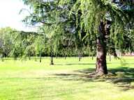 ANCIEN MOULIN / MAISON / DEPENDANCE / 2HA TERRAIN — photo 4