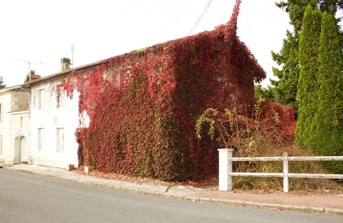 Bien vendu : Maison  Saint-Martin-du-Bois (33910) — photo 4