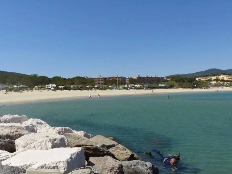 SOUS OFFRE - BORMES LES MIMOSAS  LA FAVIERE - STUD — photo 1