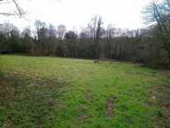 Longère en pierres avec ecuries et 1,4 ha de terre — photo 3