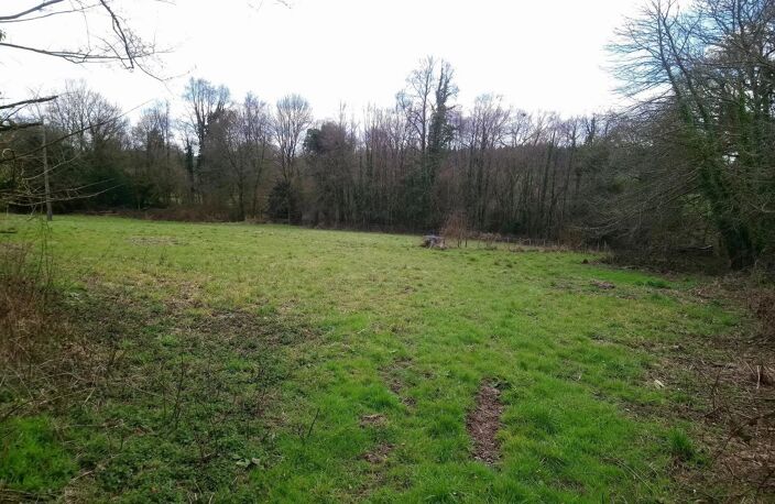 Longère en pierres avec ecuries et 1,4 ha de terre — photo 3
