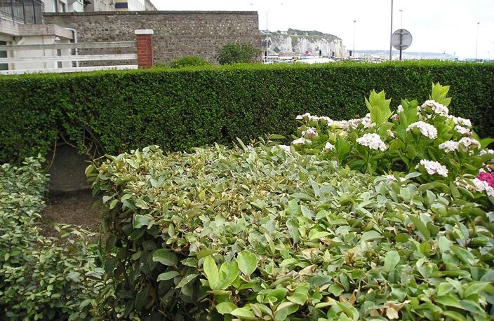Bien vendu : Appartement 49 m² Dieppe (76200) — photo 2