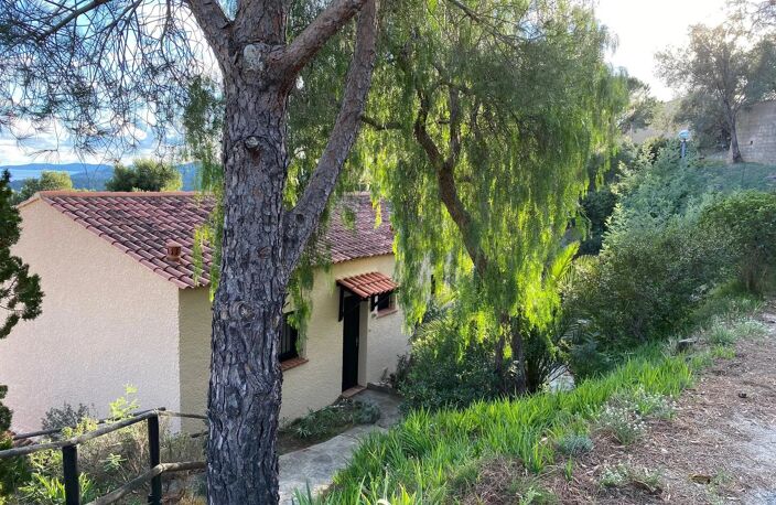 BORMES LES MIMOSAS  APPARTMENT 30M² — photo 5