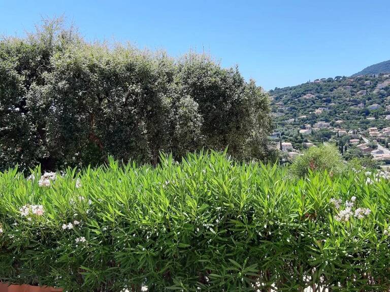 CAVALAIRE sur MER T2 RdJ RESIDENCE STANDING — photo 1