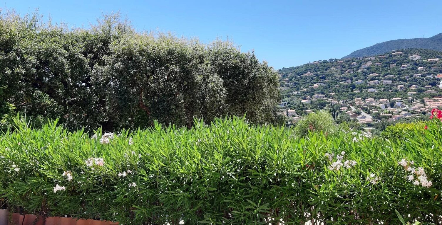 CAVALAIRE sur MER T2 RdJ RESIDENCE STANDING — photo 1