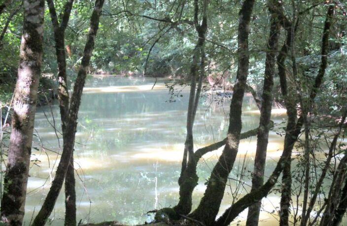 COUP DE COEUR ASSURE POUR CE MOULIN A EAU — photo 3