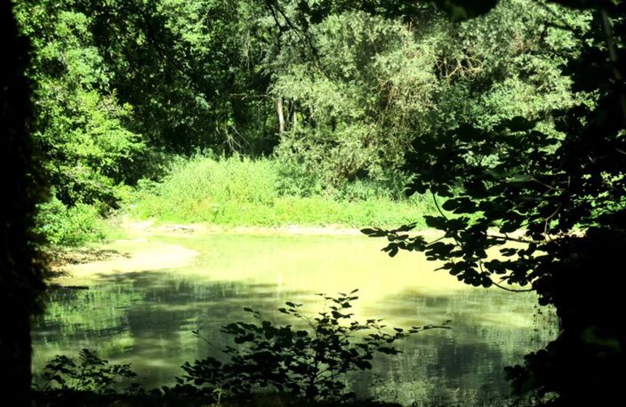 COUP DE COEUR ASSURE POUR CE MOULIN A EAU — photo 5