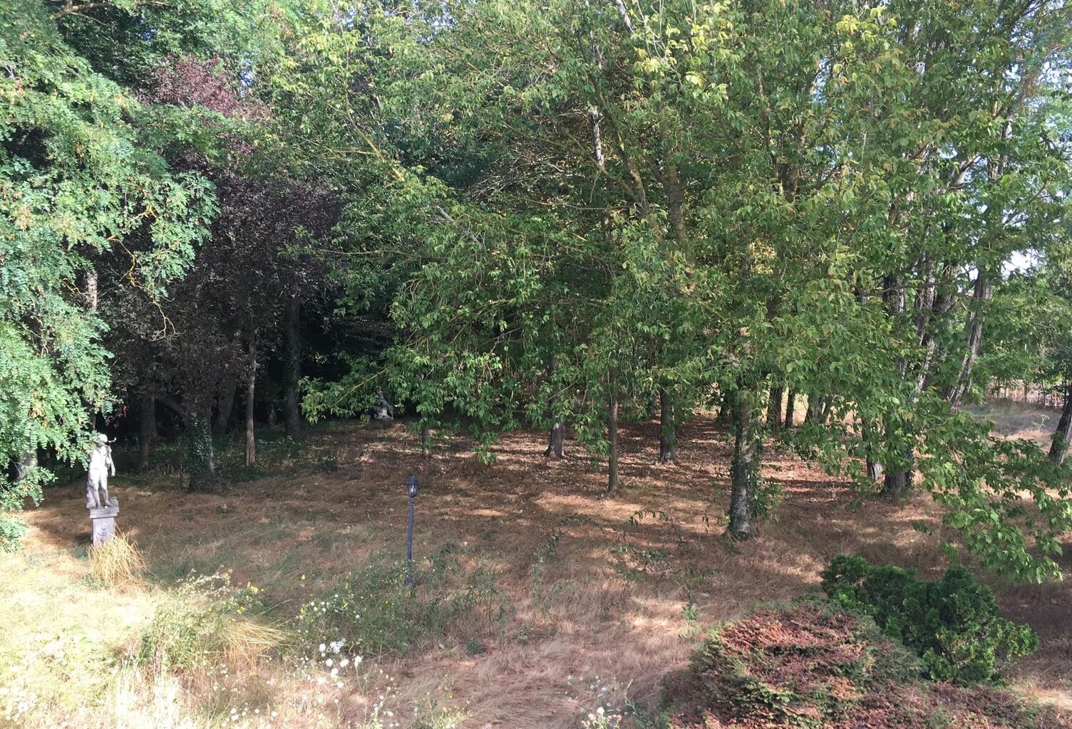 Maison de campagne à rénover sur plus d'un hectare — photo 1