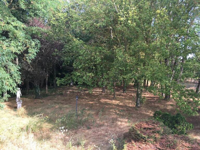 Maison de campagne à rénover sur plus d'un hectare — photo 1