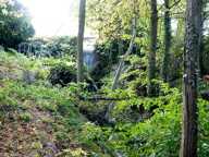 Maison de campagne à rénover sur plus d'un hectare — photo 2