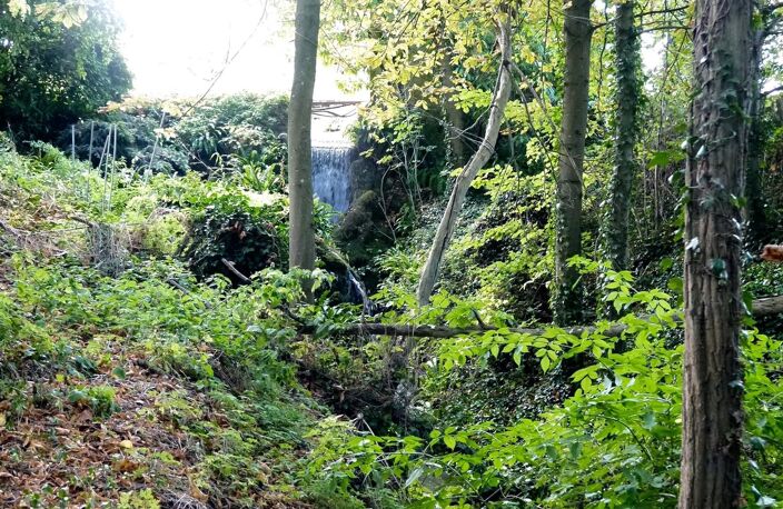Maison de campagne à rénover sur plus d'un hectare — photo 2