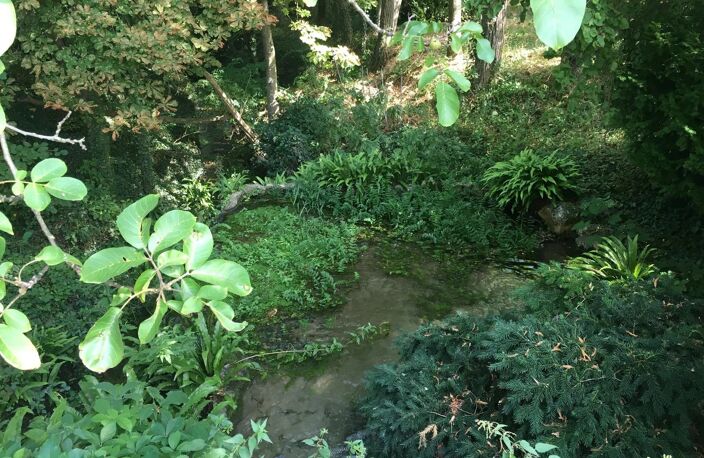 Maison de campagne à rénover sur plus d'un hectare — photo 3