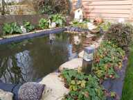 EXCUSIVITE POUR CETTE BELLE MAISON A PLOUFRAGAN — photo 3
