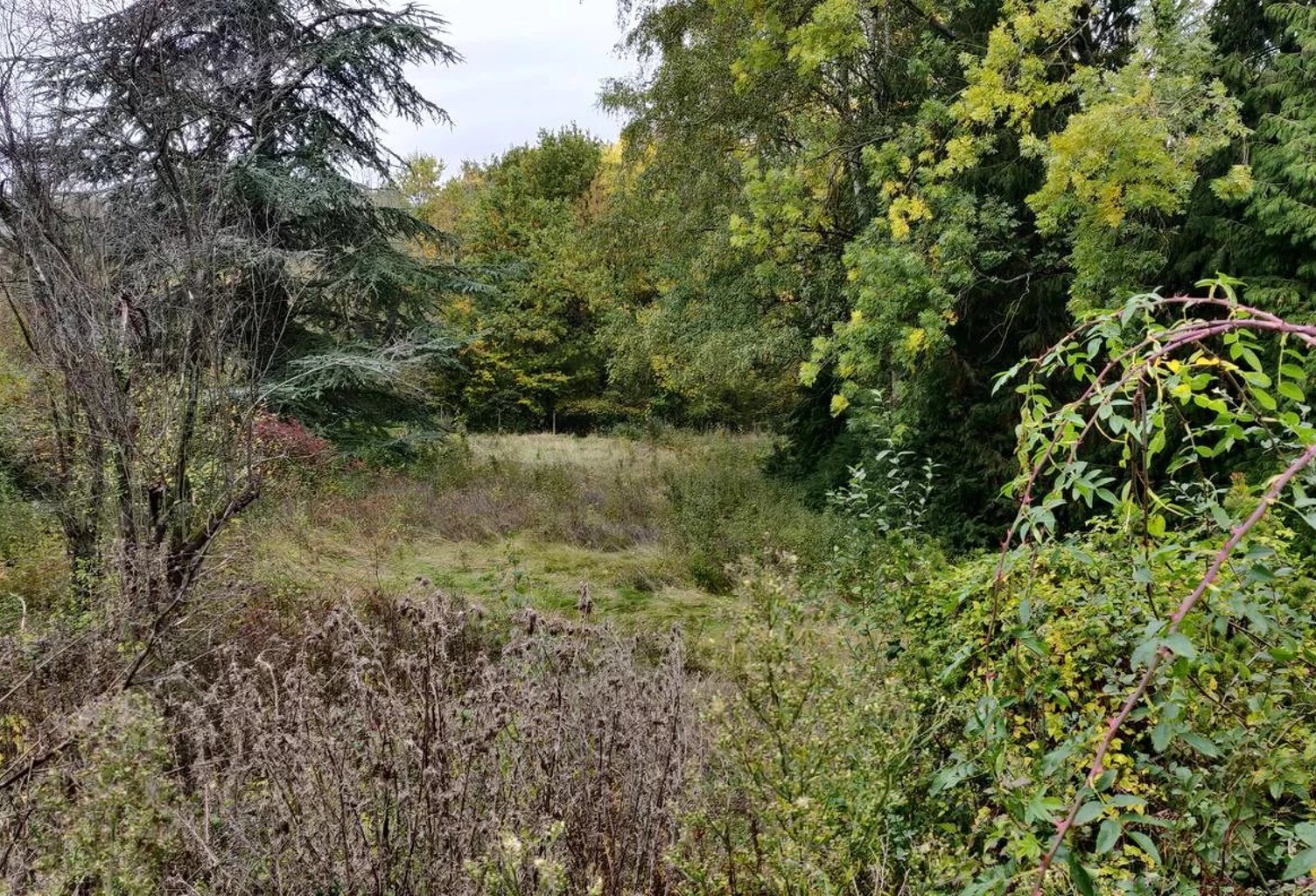 IDEALEMENT SITUEE ENTRE LA VILLE ET LA CAMPAGNE ! — photo 1