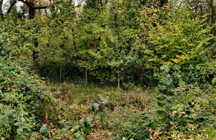 IDEALEMENT SITUEE ENTRE LA VILLE ET LA CAMPAGNE ! — photo 4