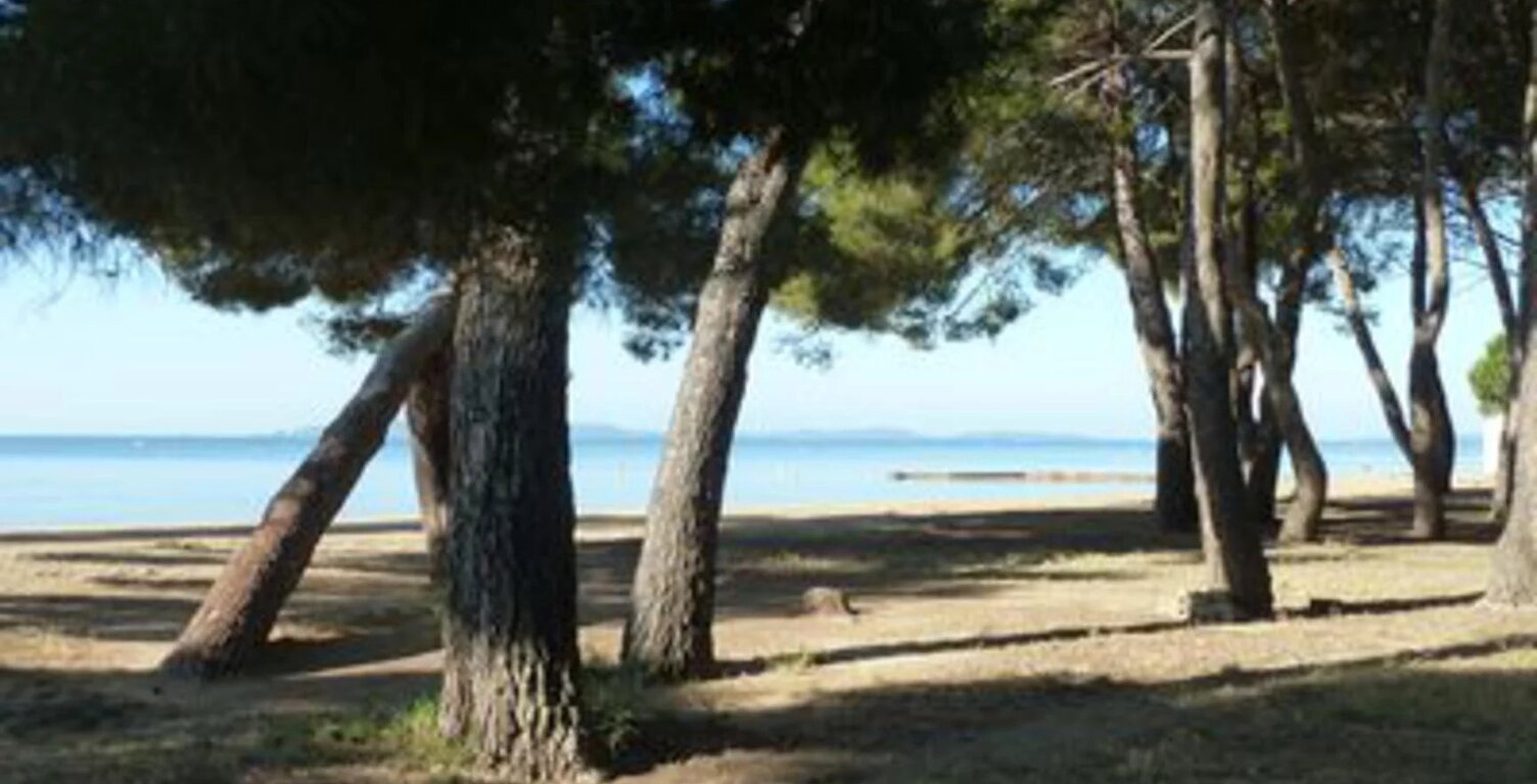 SOUS OFFRE -A L'ARGENTIERE - LA LONDE LES MAURES T — photo 1