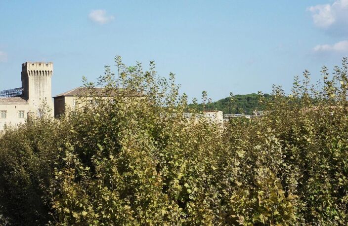 Bien vendu : Appartement  Salon-de-Provence (13300) — photo 2