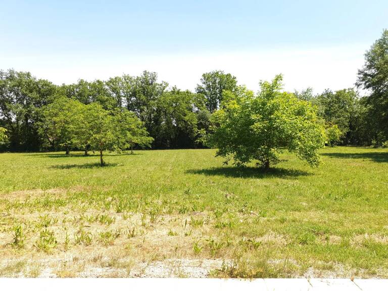 Prorpiété de 250 m² et un hectare de terrain . — photo 1