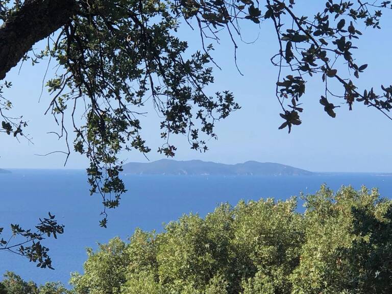 RAYOL-CANADEL, vue mer sur les Iles d'Or — photo 1