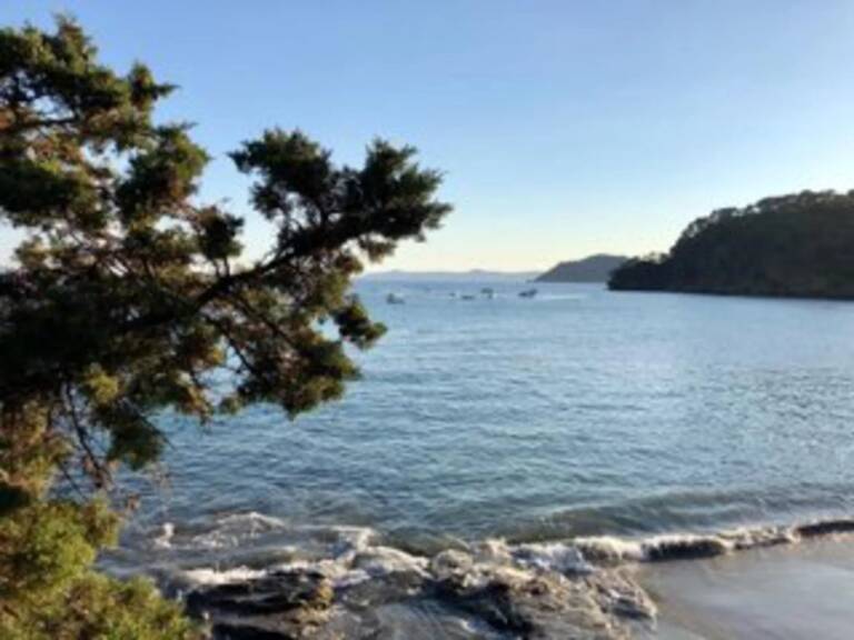 Bas du RAYOL-CANADEL, Plage et commerce à pieds — photo 1