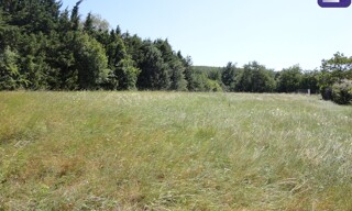 Terrain  2834 m² à vendre à Mirepoix (09500)