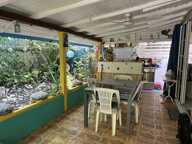 BOUILLANTE MAISON EN VIAGER OCCUPE — photo 2