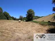Propriété agricole — photo 2