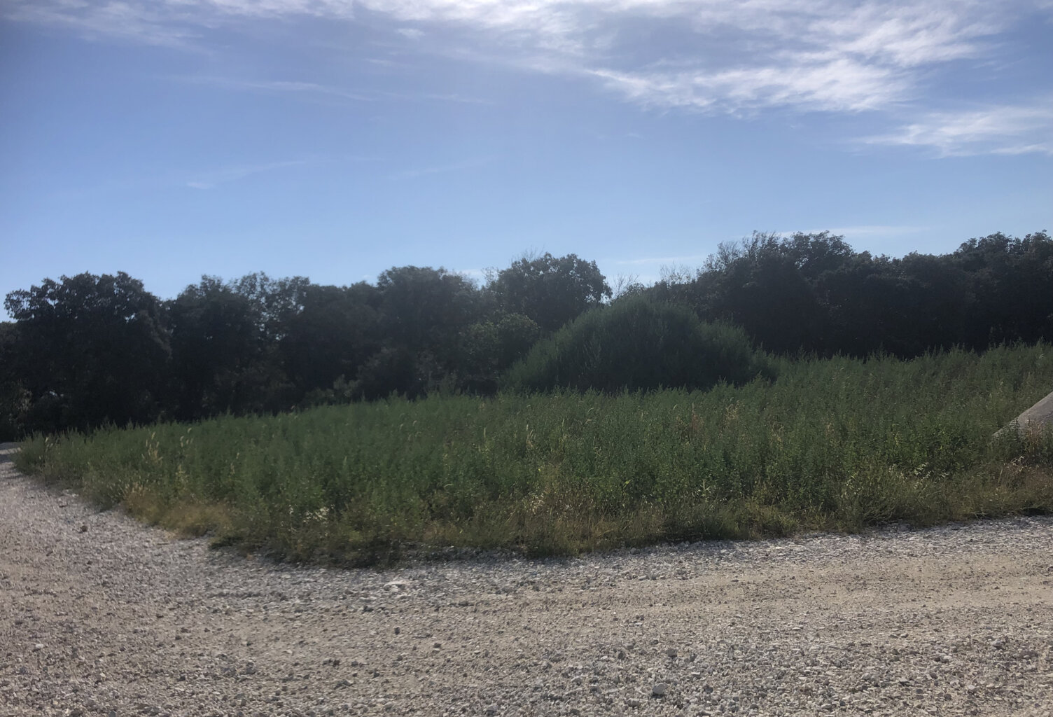 IDEAL PROMOTTEUR Terrain de 4850m2  permettant la constructi — photo 1
