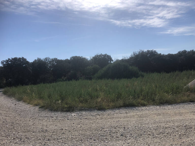 IDEAL PROMOTTEUR Terrain de 4850m2  permettant la constructi — photo 1