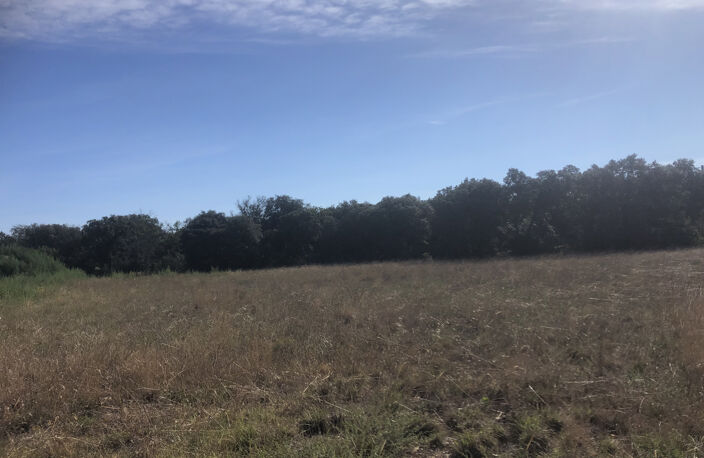 IDEAL PROMOTTEUR Terrain de 4850m2  permettant la constructi — photo 2