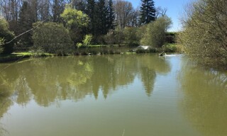 Photo N° 3