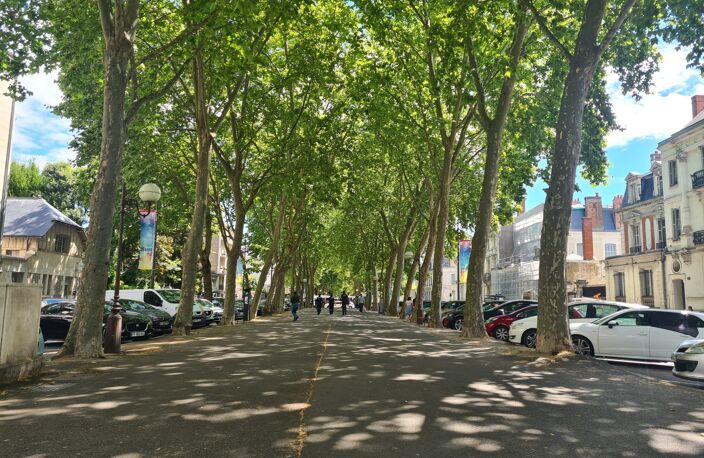 Appartement Boulevard Béranger — photo 2