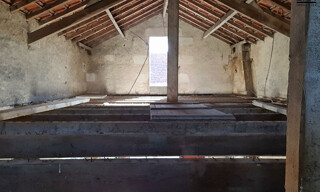 Photo N° 6