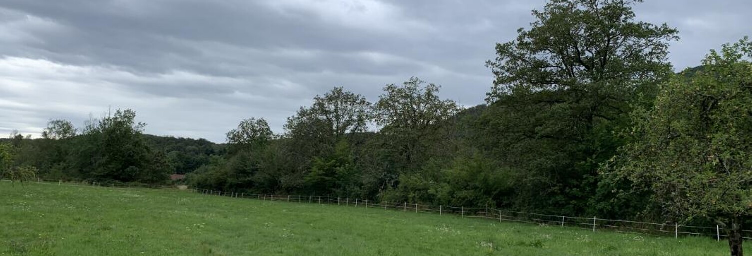 Terrain  1000 m² à vendre à Plancher-Bas (70290)