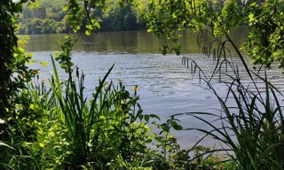 Photo N° 4