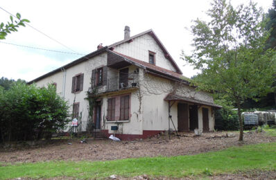 vente maison 85 600 € à proximité de Celles-sur-Plaine (88110)