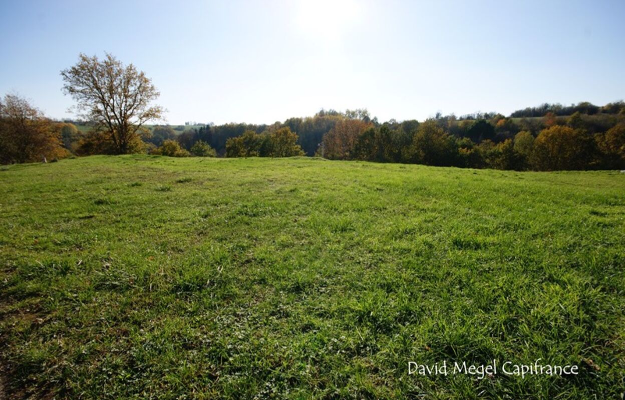 terrain  pièces 875 m2 à vendre à Lengelsheim (57720)