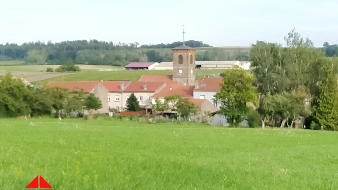 terrain  pièces 6000 m2 à vendre à Laneuveville-Aux-Bois (54370)